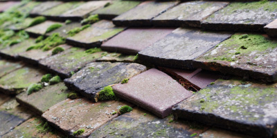 North Weald roof repair costs